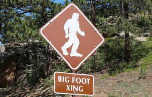 Gone Sasquatchen: Big Foot Lives