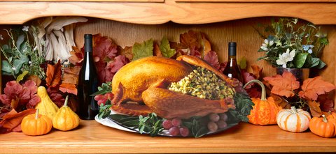 Thanksgiving Turkey Image