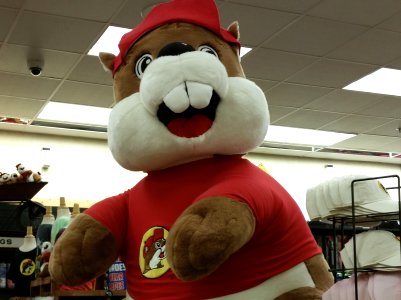 Buc-ee The Beaver Image