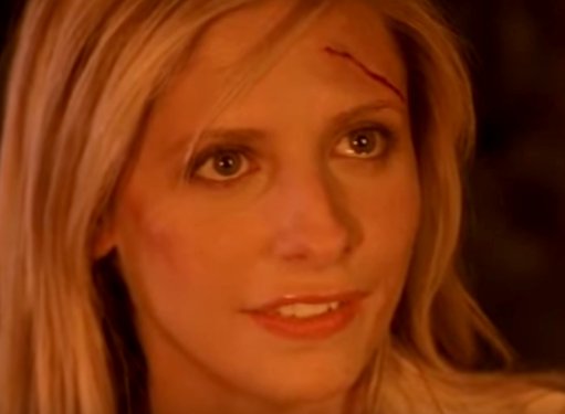 Buffy The Vampire Slayer Sarah Michelle Image