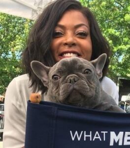 Taraji Holding Grey French Bulldog Image