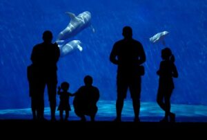 People At An Aquarium Image