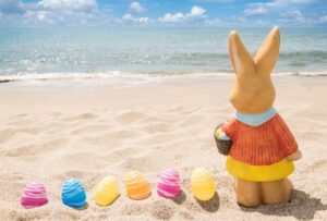 Bunny On The Beach Image