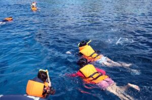 Snorkelers Image