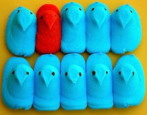 Peeps Image